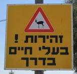 Símbolo: cruce de animales
